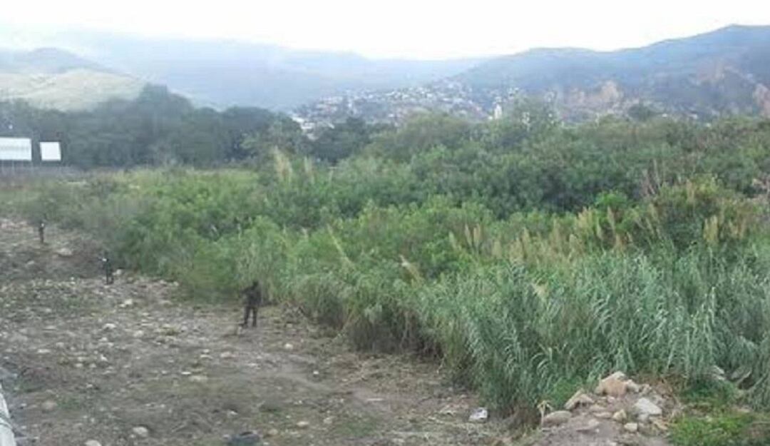 Asesinato en una trocha