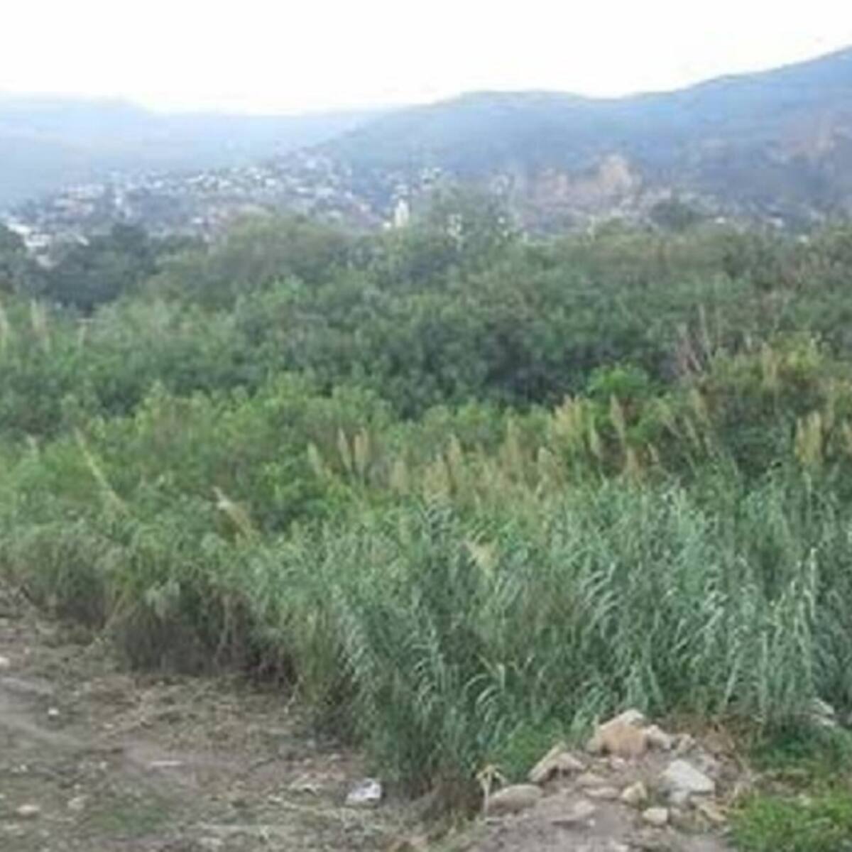 Nuevo asesinato en una trocha entre Colombia y Venezuela
