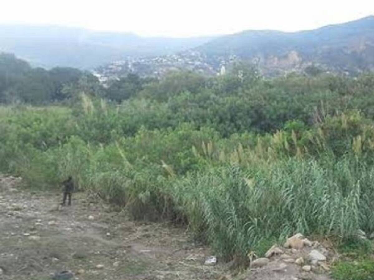 Nuevo asesinato en una trocha entre Colombia y Venezuela