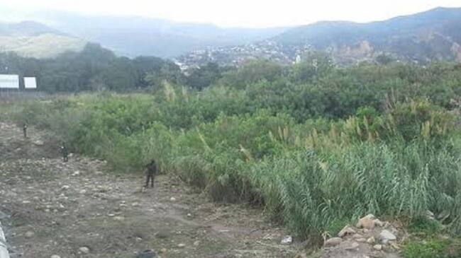 Asesinato en una trocha