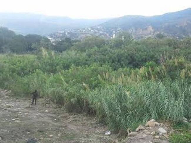 Asesinato en una trocha