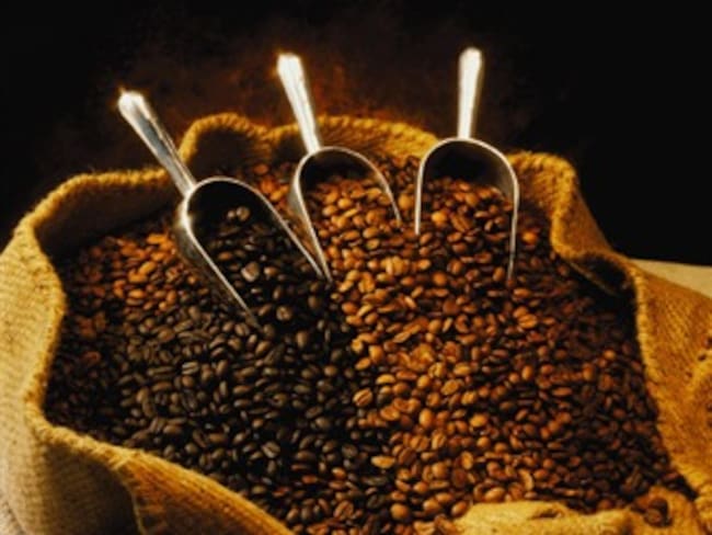 Producción de café en primer semestre del año superó los 4.9 millones de sacos
