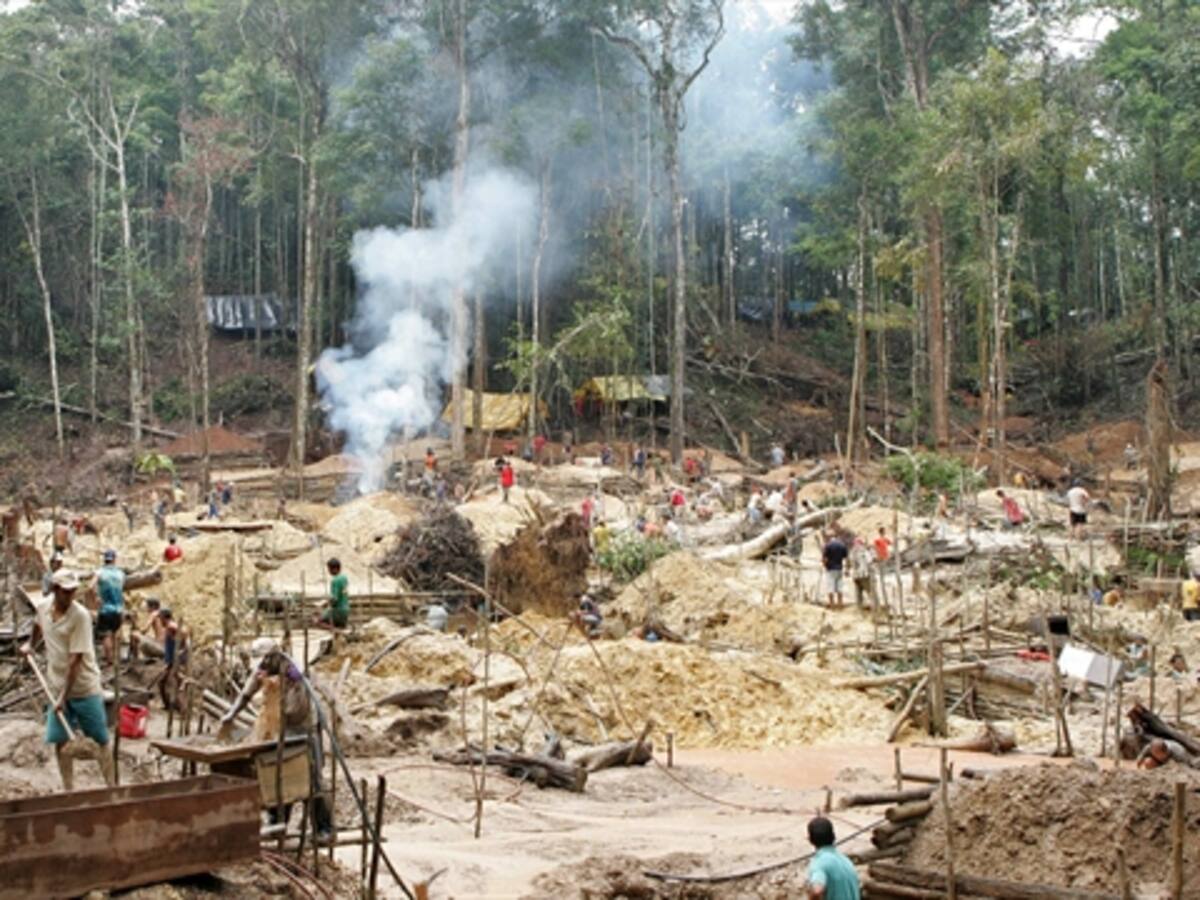 Pacífico colombiano deforestado por minería ilegal y cultivos ilícitos