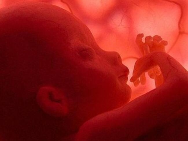 Estudio con células madre abre vía para curar la hidrocefalia en fetos