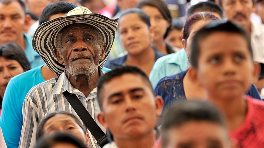 Los ingenios cañicultores, con el pretexto de sembrar piña para exportación, inundaron el mercado y compiten con el pequeño campesino dejando en la ruina a más de 4.200 familias. Foto: Getty Images
