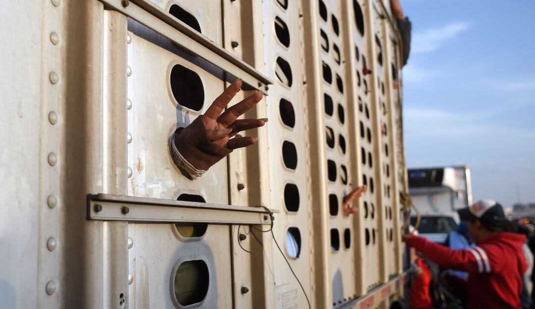 Tráiler con migrantes