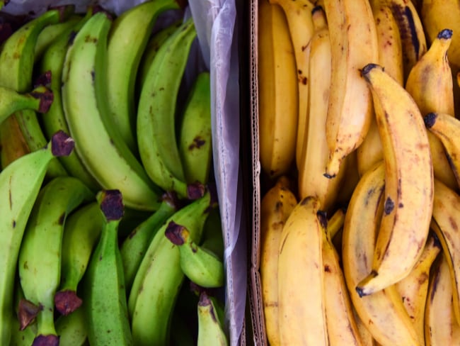 ¿Es más saludable un plátano ‘pintón’ o maduro? Comparamos los nutrientes que tienen en cada etapa/ Imagen de referencia vía Getty Images
