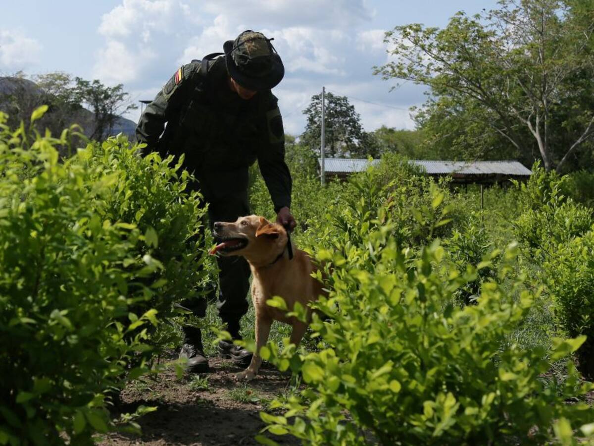Campesinos retienen tres Policías en zona rural de Montelíbano, Córdoba