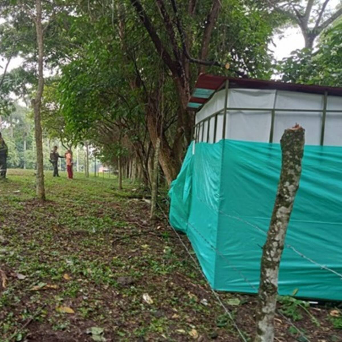 Invasión en el sector de Picaleña en Ibagué angustia a la ANI