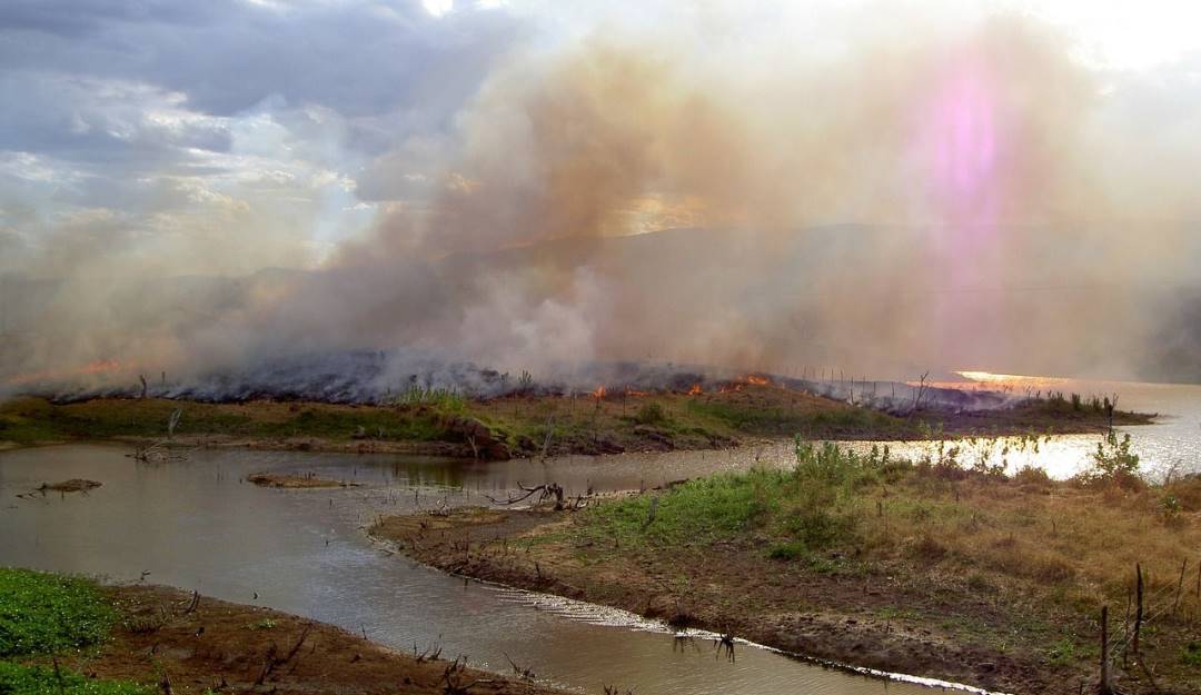 Afectación Medio Ambiente / Colprensa 