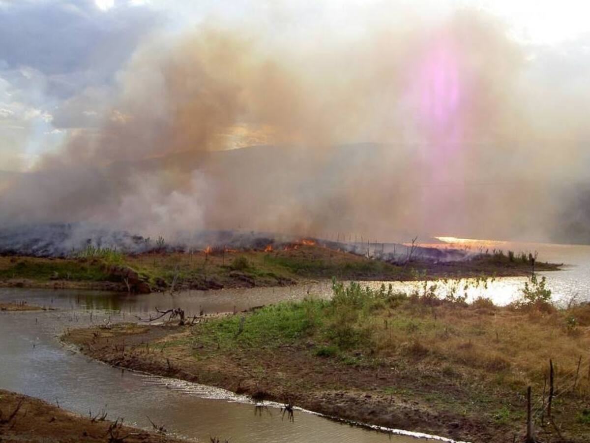 Después del Acuerdo de Paz, 238 hechos afectan gravemente al medio ambiente