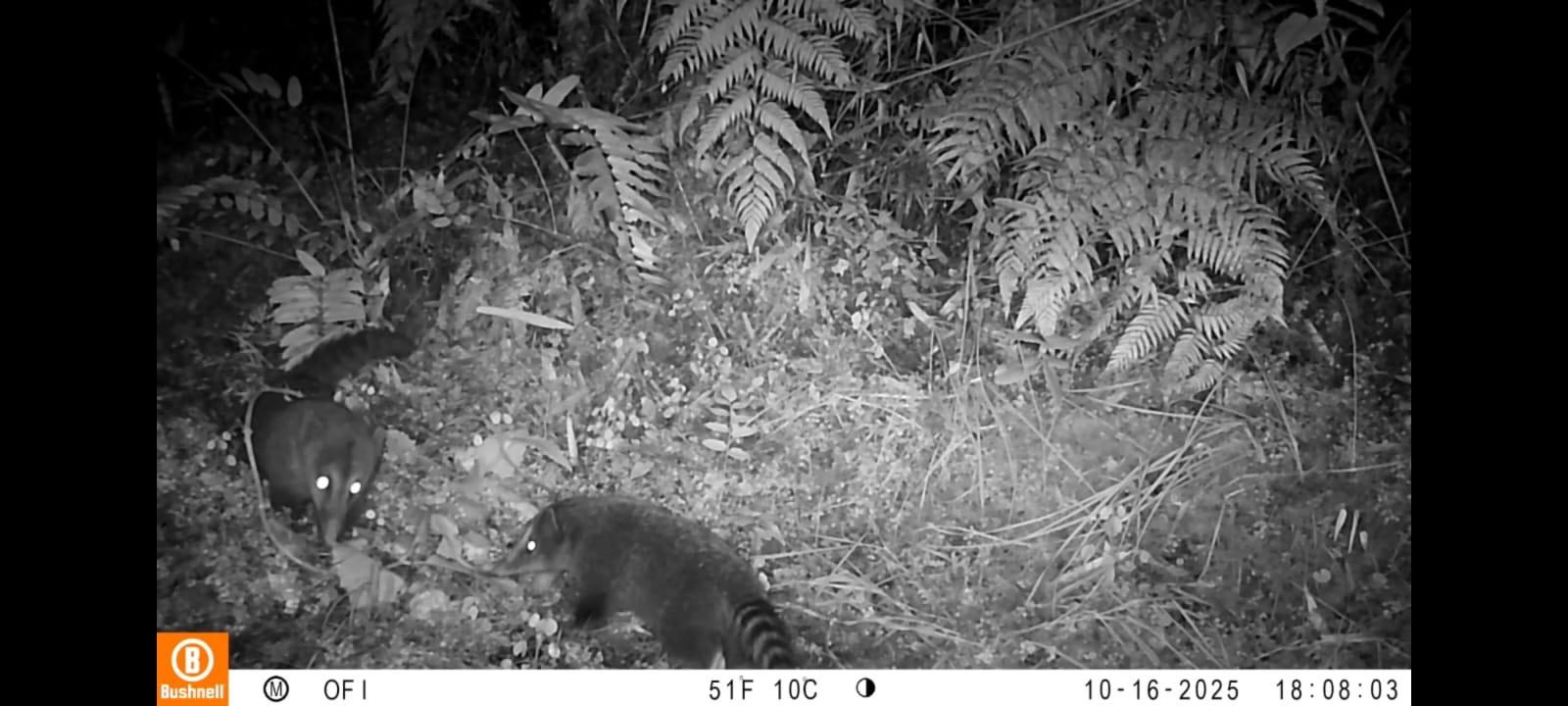 FOTOS | SECRETARÍA DE MEDIO AMBIENTE DE TUNJA