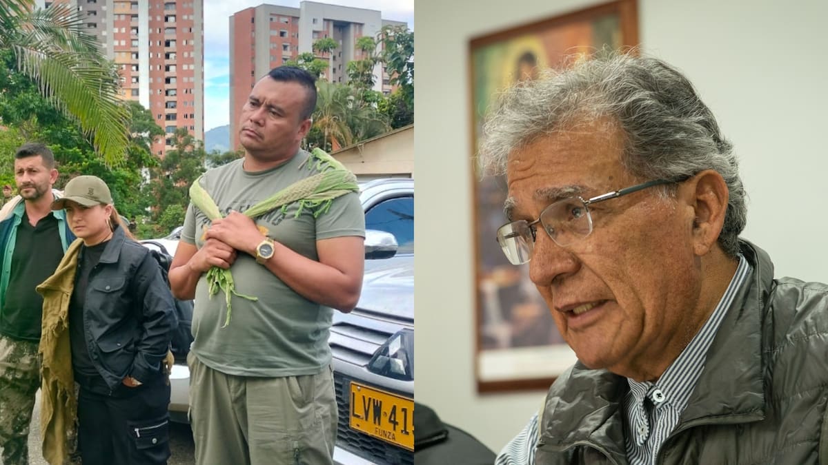 Gobierno confirma que algunos disidentes de las Farc tienen esquema permanente