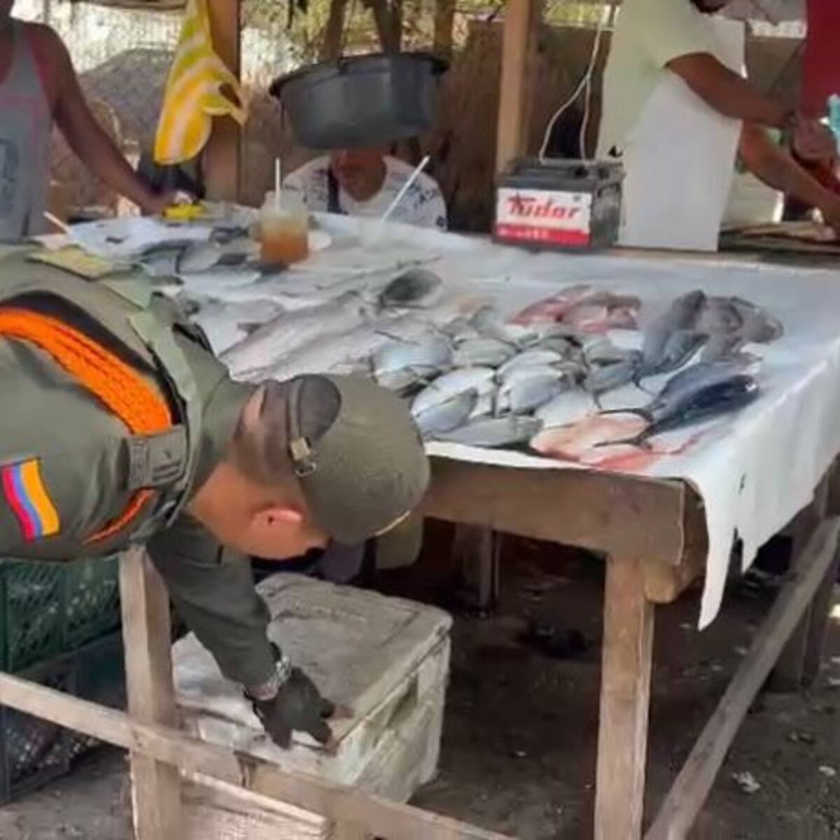 Controles policiales buscan evitar venta de fauna silvestre en Cartagena