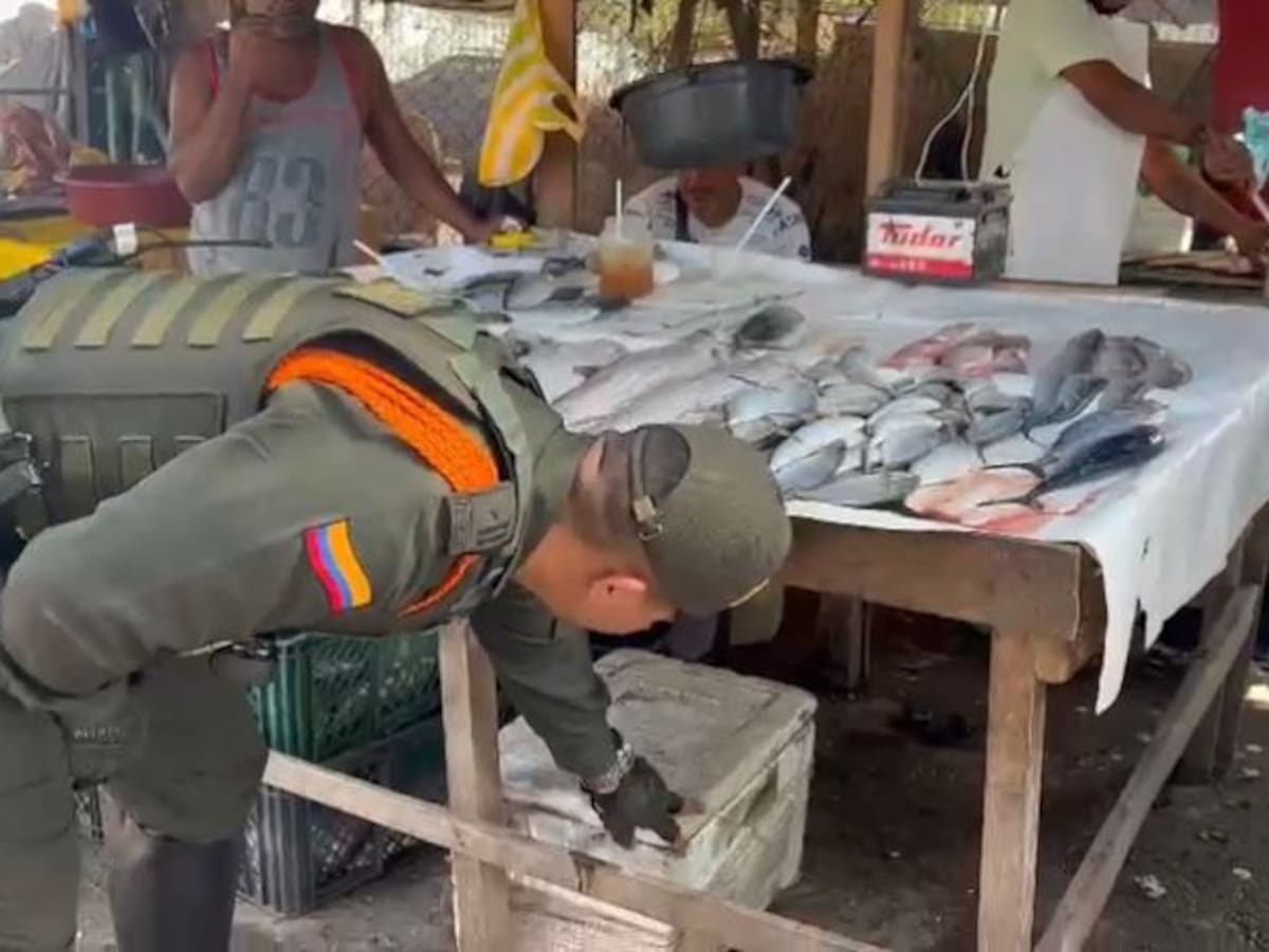 Controles policiales buscan evitar venta de fauna silvestre en Cartagena