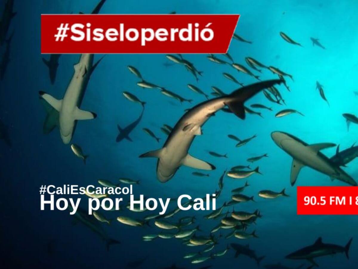 Cali Hoy por Hoy 02 de octubre del 2020