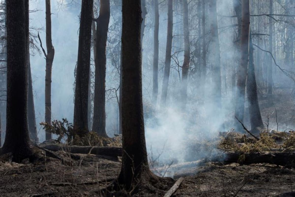 La pareja entre Edwin Cardona y Carolina Castaño ya cuenta con tres hijos: Ana, María Ángel y Emiliano.