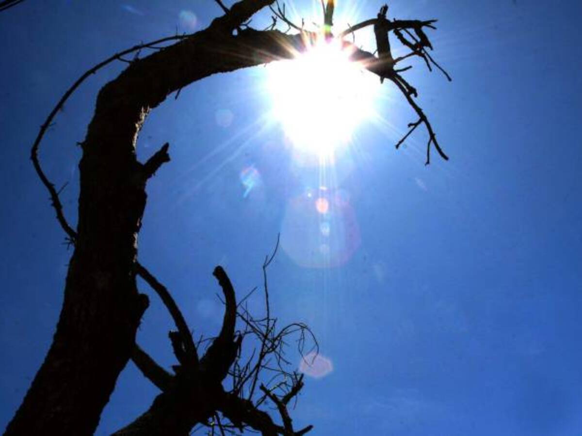 Bogotá presenta un incremento en radiación ultravioleta por Fenómeno de El Niño