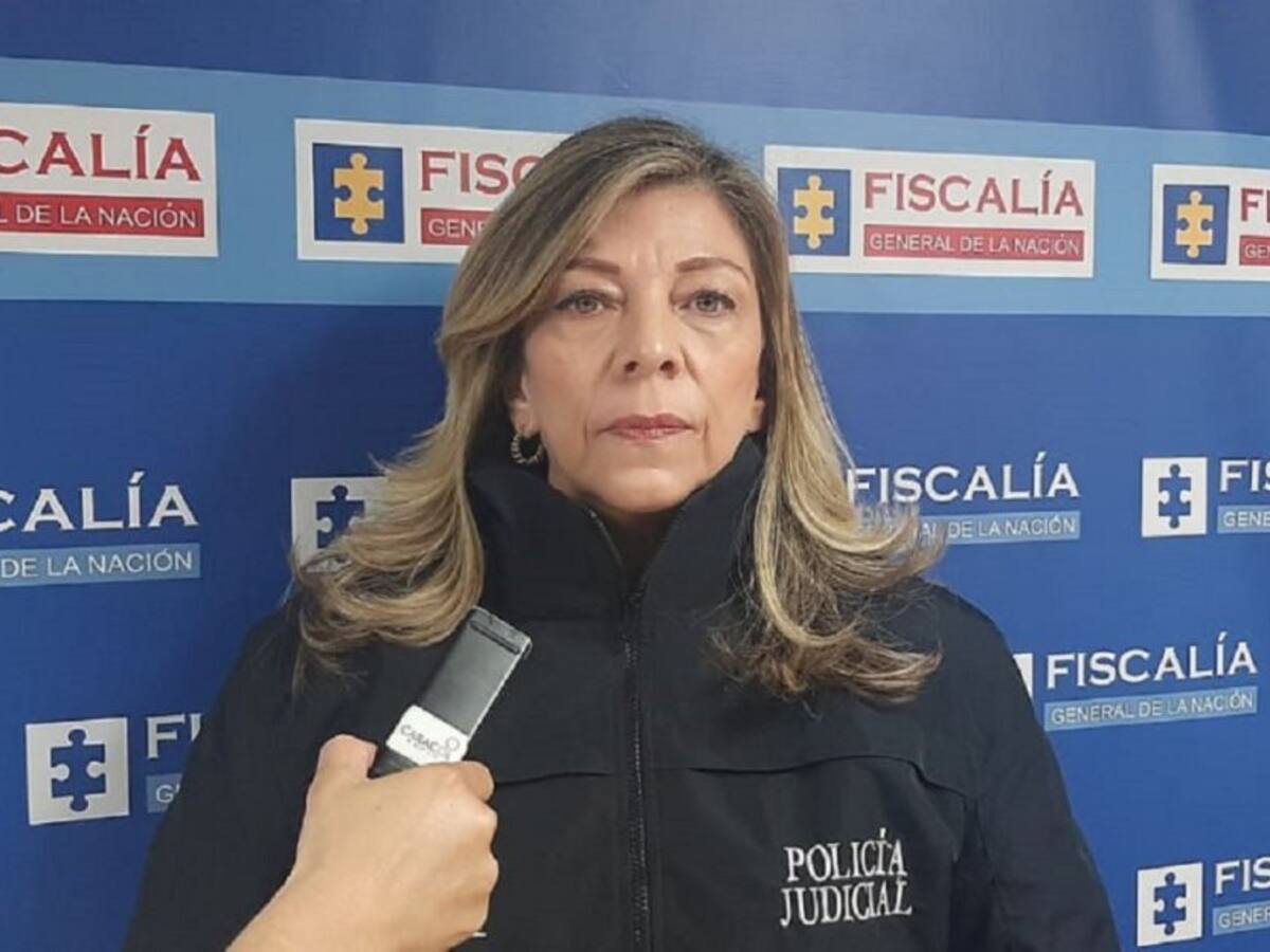 Fiscalía entrega cifras sobre violencia doméstica y contra la mujer