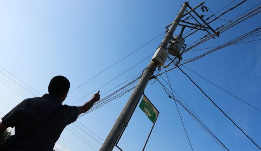 Imagen de referencia