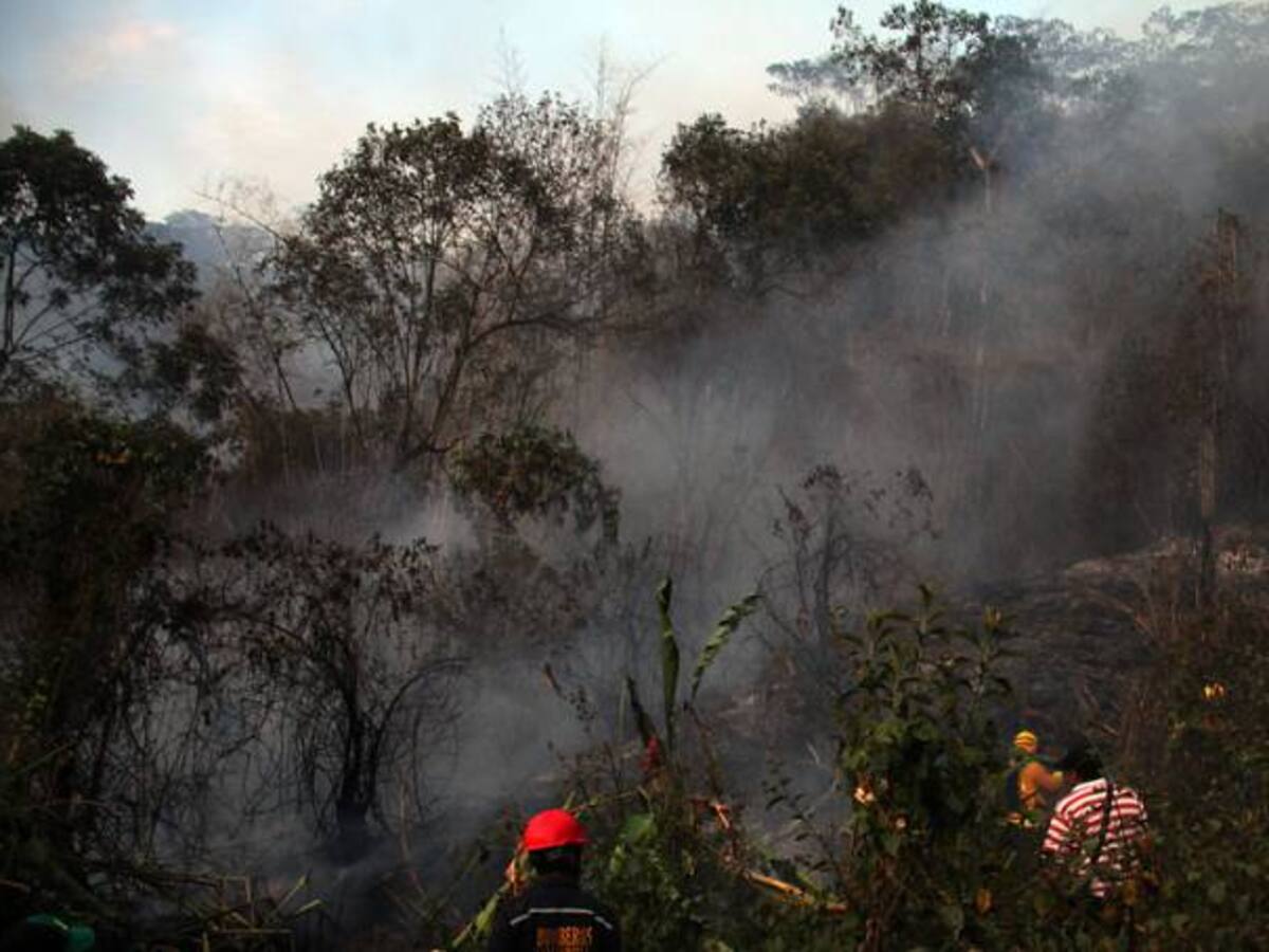 Este año se han afectado 38 hectáreas por incendios forestales en Cundinamarca: Bomberos