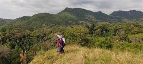 Ecopetrol crea cinco nuevas Ecoreservas en Boyacá y otras regiones de Colombia. Foto | Internet