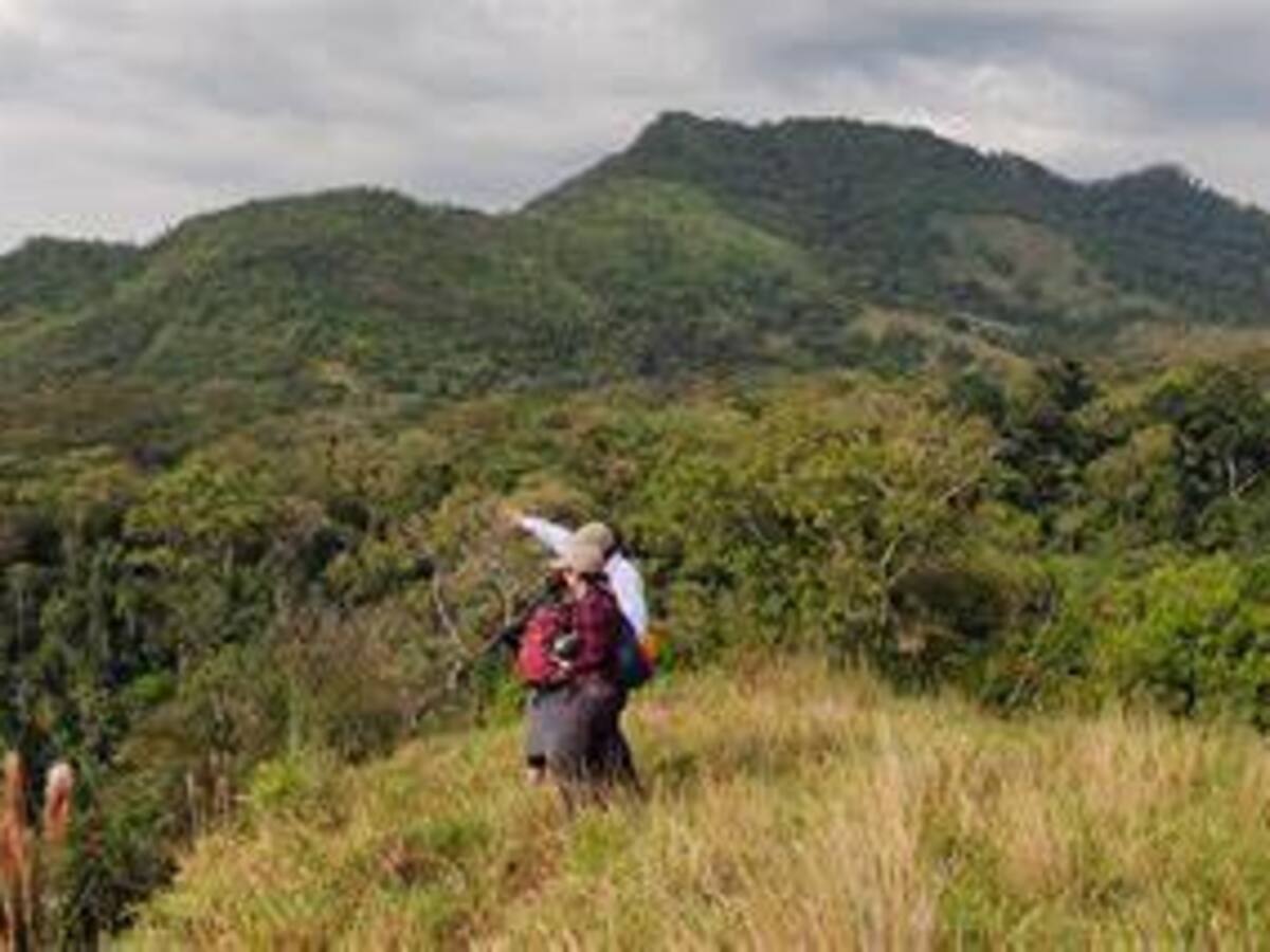 En Puerto Boyacá y Páez habrá nuevas ecoreservas de Ecopetrol