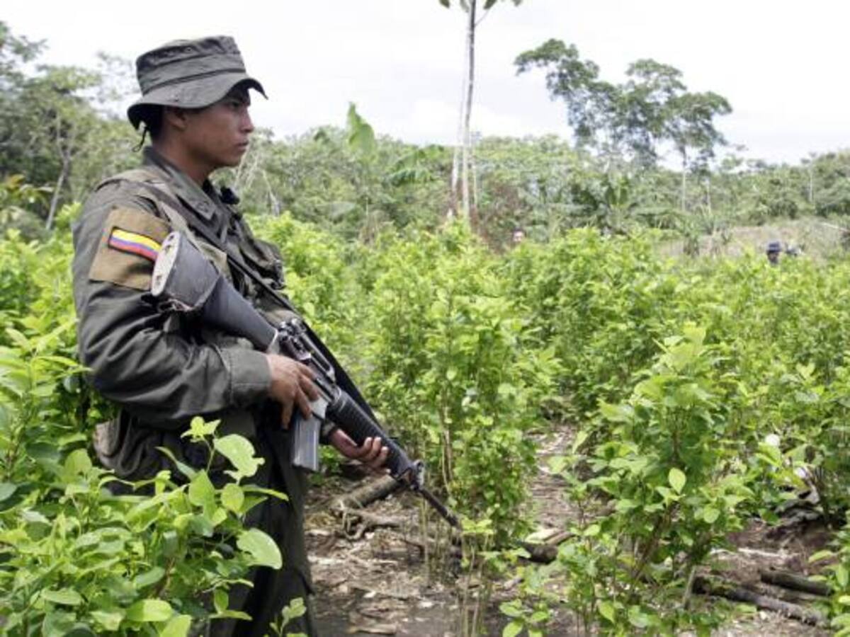 Disturbios en Argelia, Cauca, por operativo de erradicación de coca