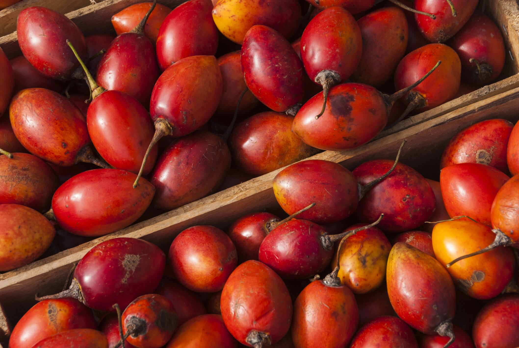 Tomate de árbol en una cesta para vender (Getty Images)