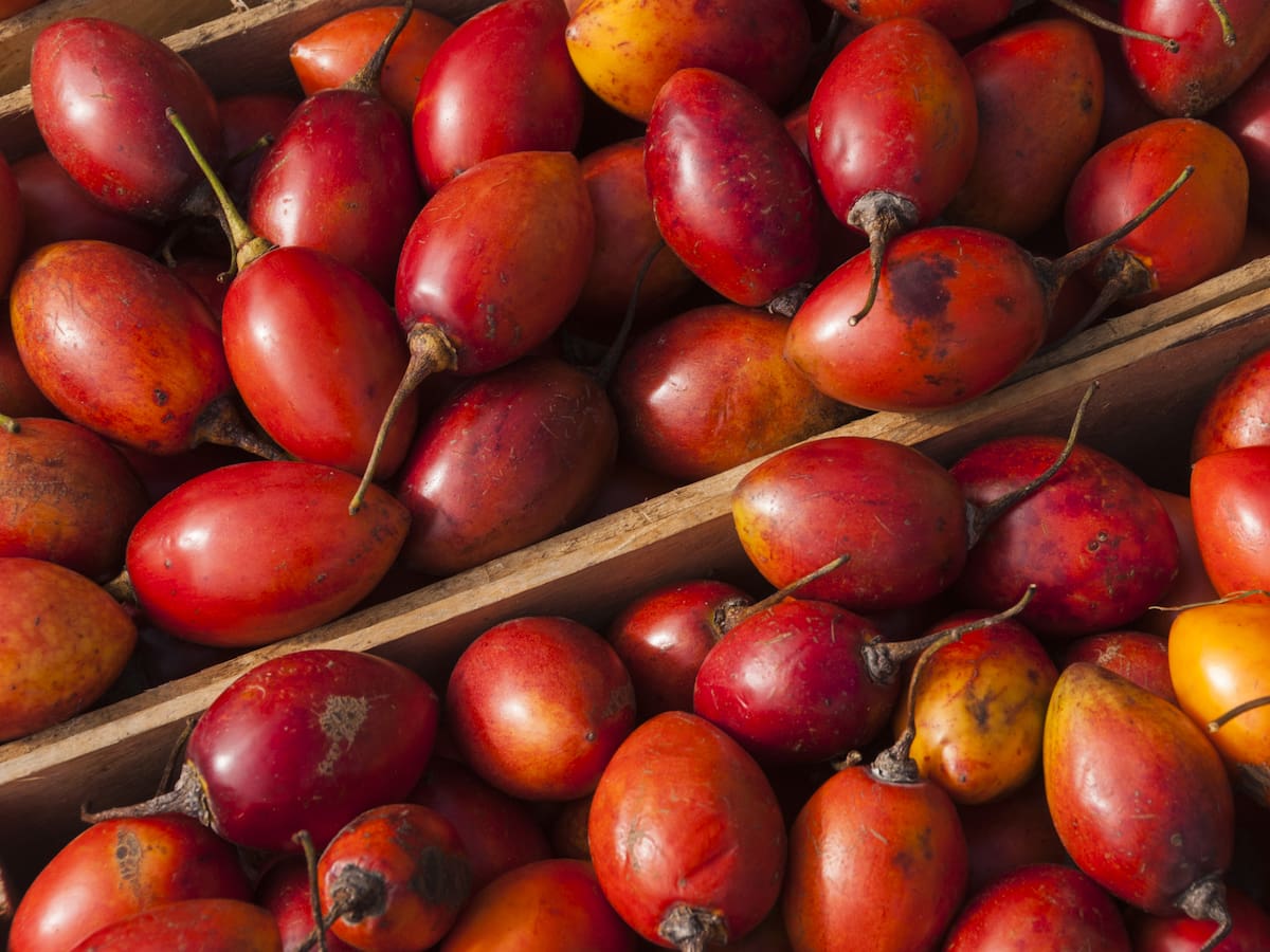 3 enfermedades que el tomate de árbol ayuda a evitar: ¿se debe consumir con cáscara?