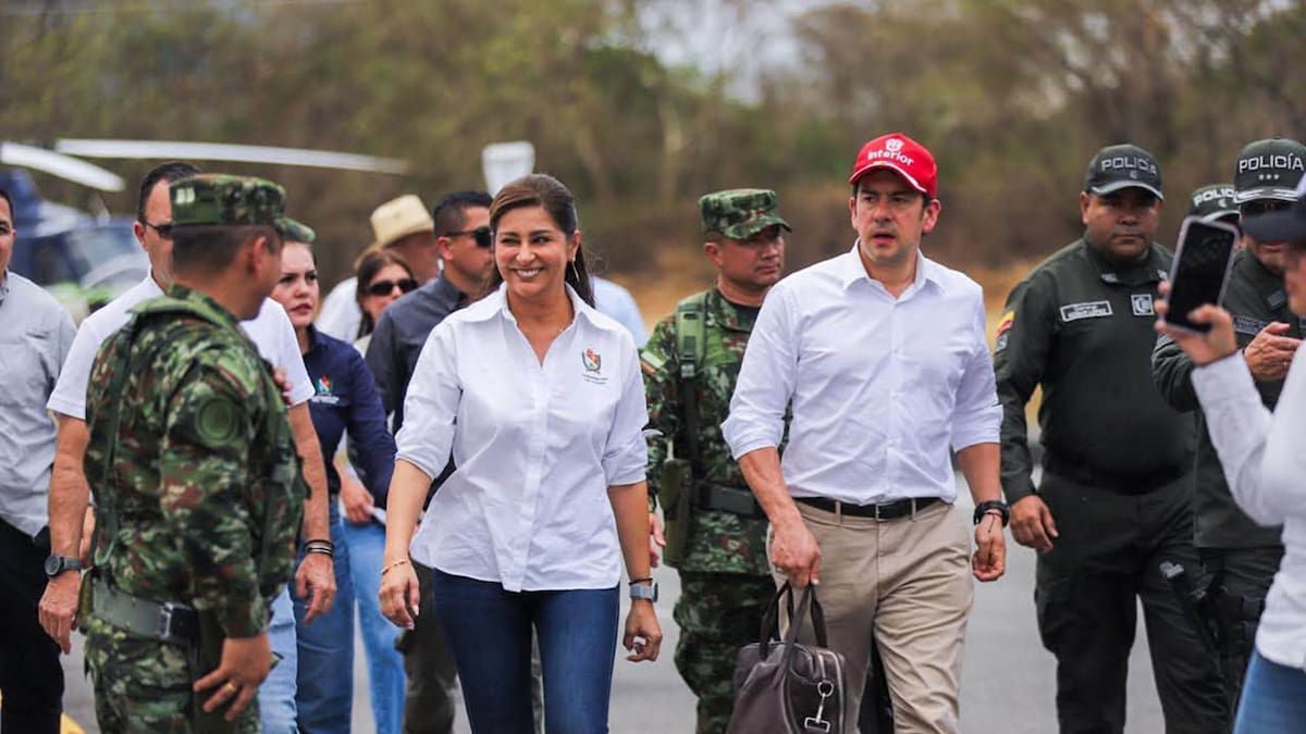 Detrás de incendios forestales del Tolima podrían estar las disidencias Farc: advirtió MinInterior