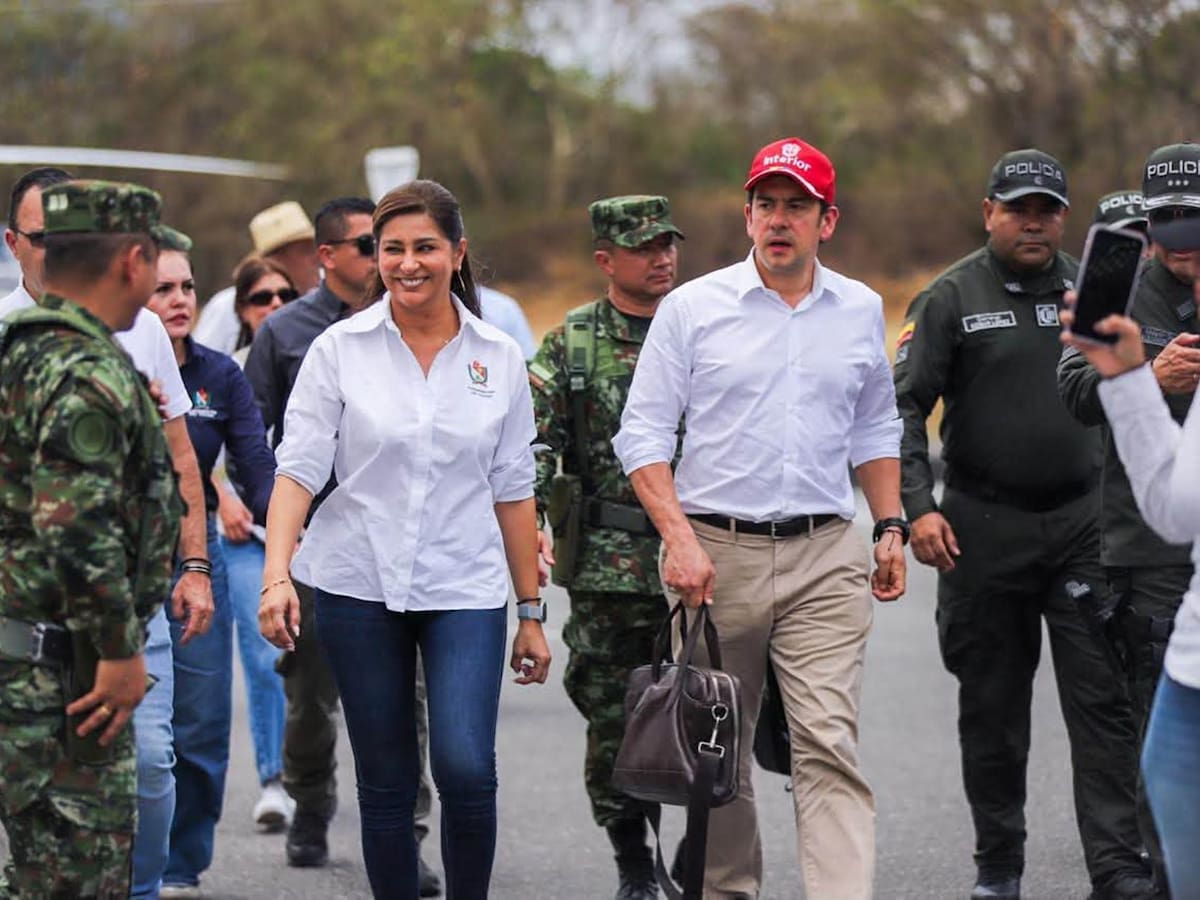 Detrás de incendios forestales del Tolima podrían estar las disidencias Farc: advirtió MinInterior
