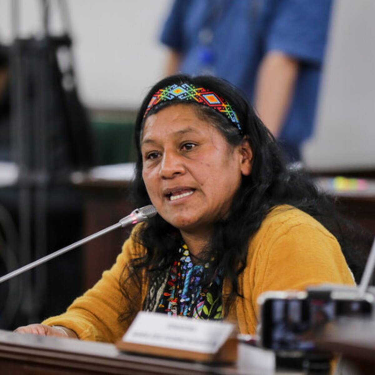 Aida Quilcué, fórmula vicepresidencial de Iván Cepeda: “Hemos recorrido el país”
