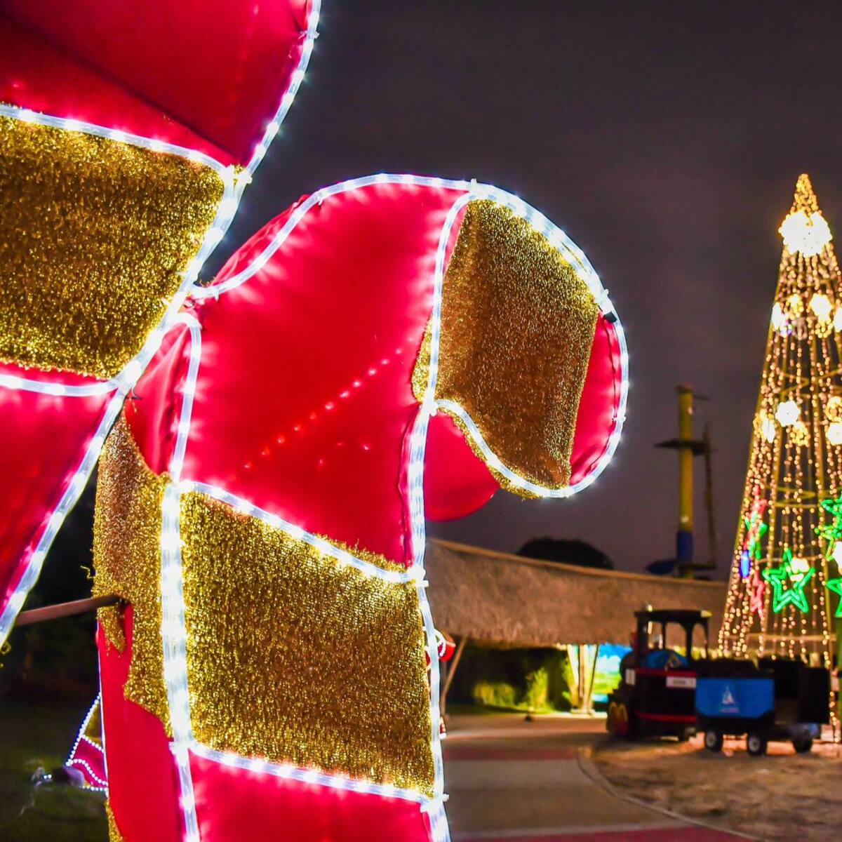 Luces y pista de hielo en Navidad Mágica en el parque Caiké de Ibagué
