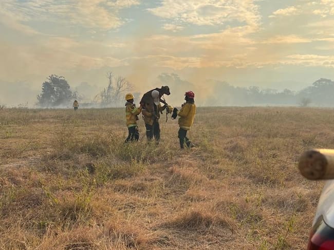 Bomberos de Antioquia apoyan labores por incendios forestales en Tolima. Foto: Gobernación de Antioquia.