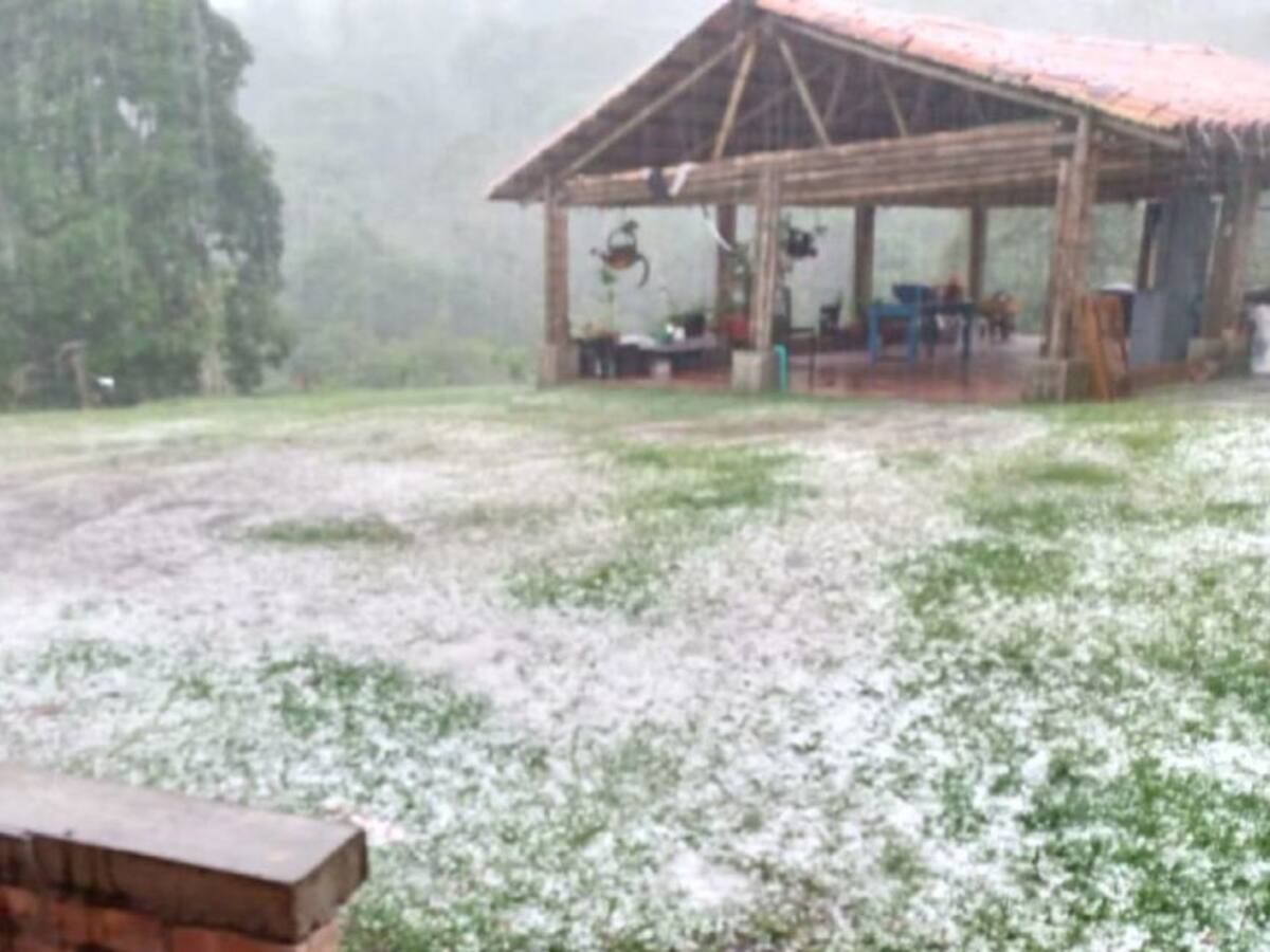 Vendaval y fuerte lluvia provocaron inundaciones y caída de árboles