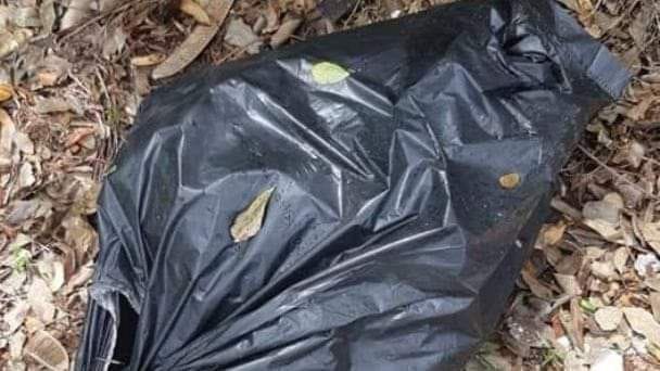 Se desconoce a quien corresponde los restos óseos.