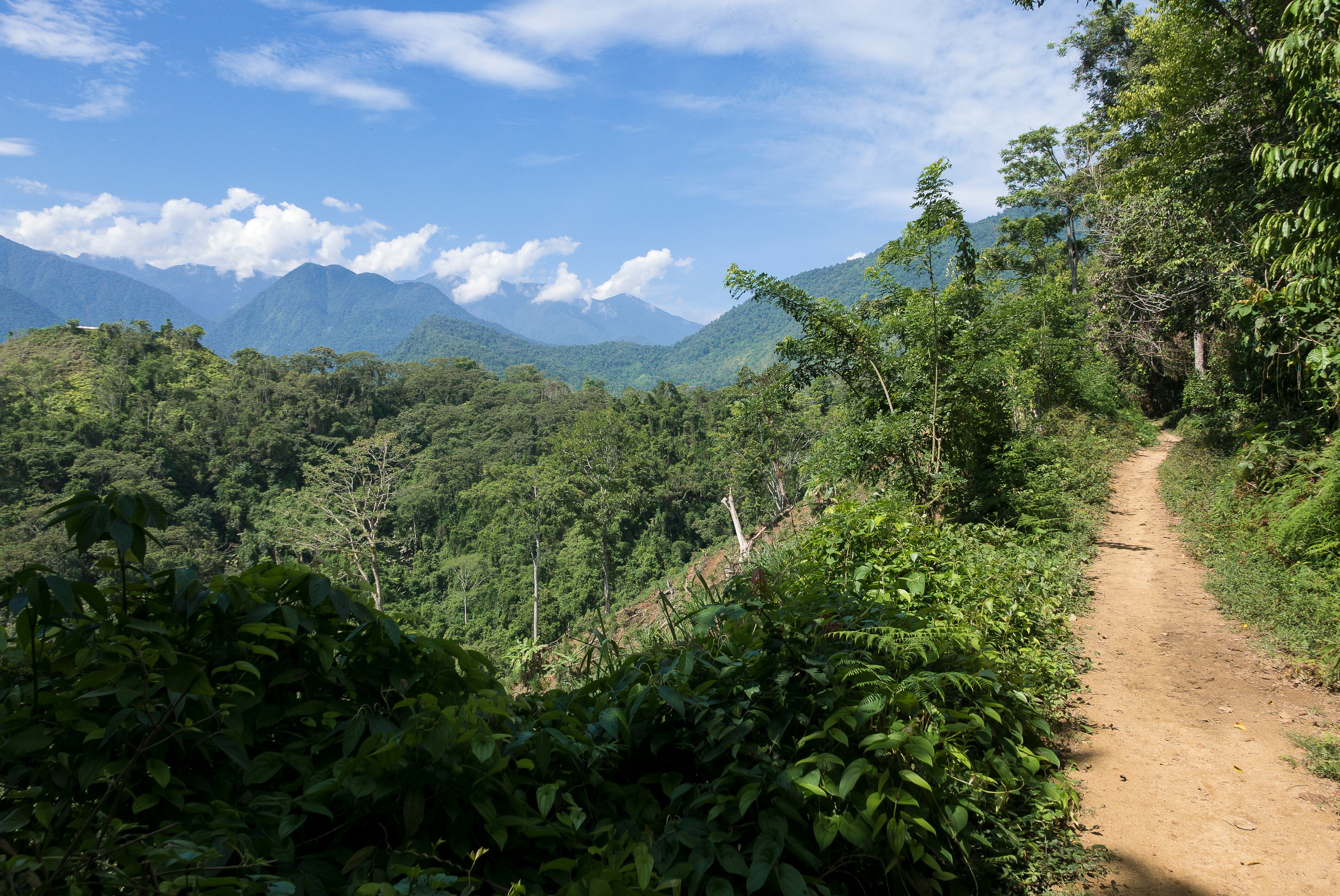 Magdalena, Republic of Colombia, August 18; 2015. -- Trail to the Ciudad Perdida (Lost City). (Photo by Thierry Tronnel/Corbis via Getty Images)