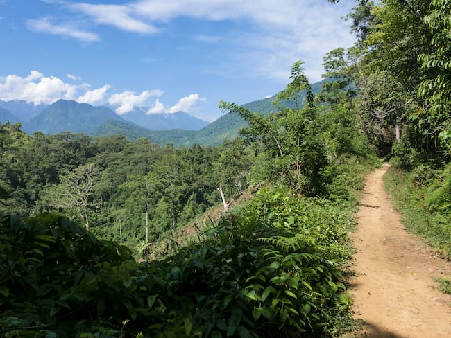 Magdalena, Republic of Colombia, August 18; 2015. -- Trail to the Ciudad Perdida (Lost City). (Photo by Thierry Tronnel/Corbis via Getty Images)