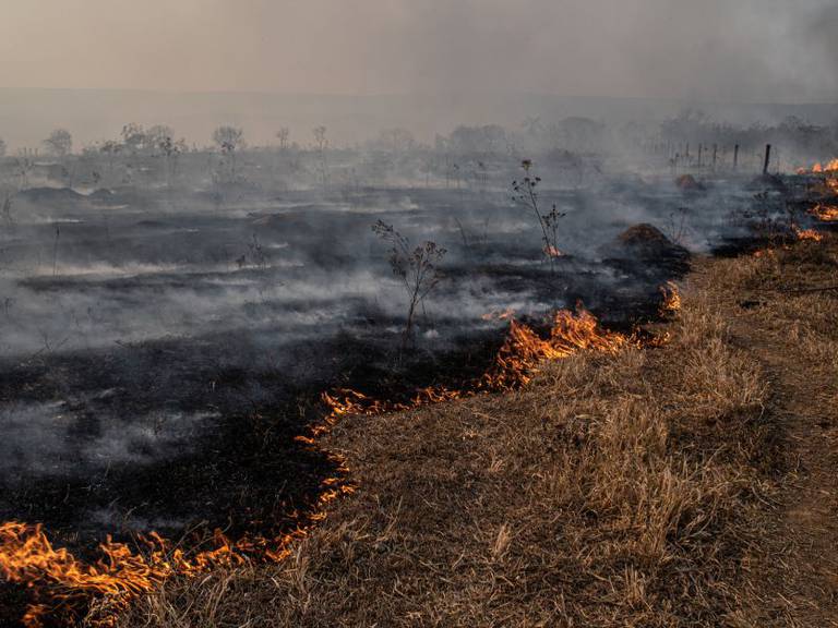 Imagen de referencia