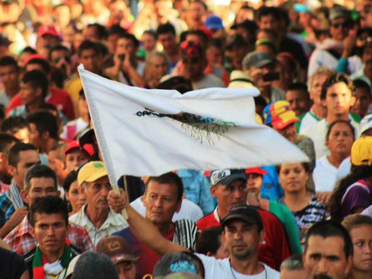 Esperanza en el Catatumbo por zona de concentración