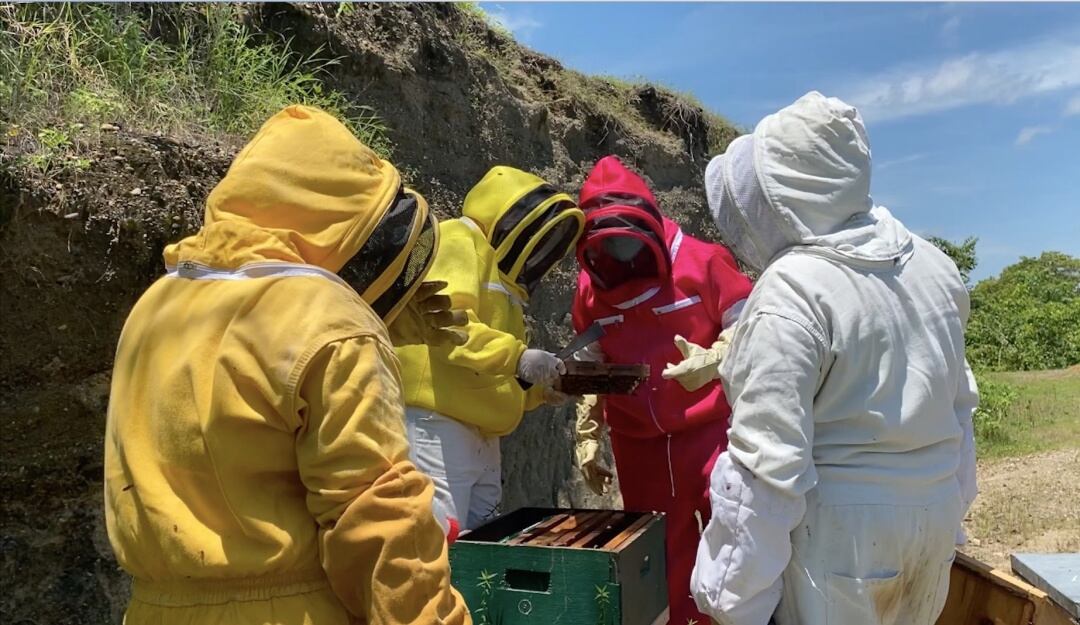 Las heroínas de la apicultura en Montes de María