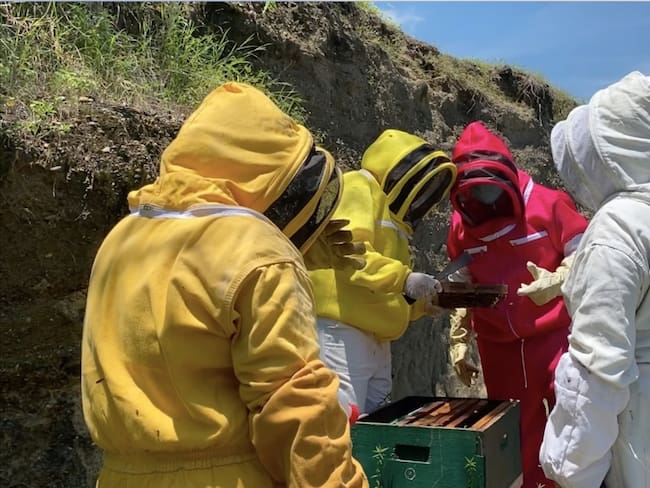 Las heroínas de la apicultura en Montes de María
