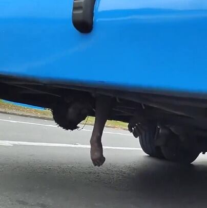 Caso del hombre que viajó colgado debajo de bus del MIO destapa robo de piezas a 45 vehículos al mes