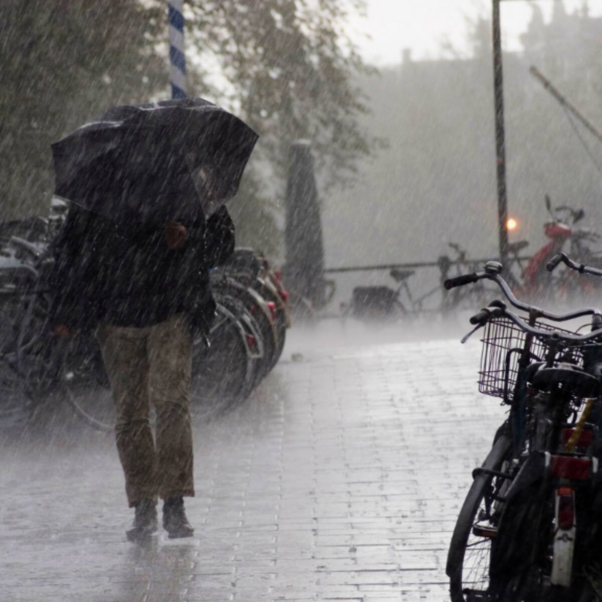 Estos son los 5 municipios más lluviosos de Colombia: ¿cómo es el clima, frío o cálido?