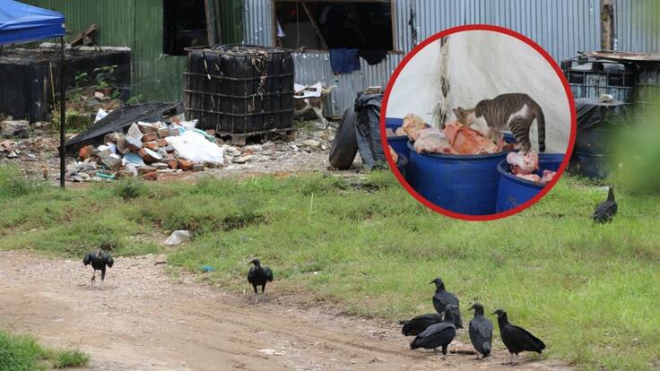 Leonardo Granados, secretario de Ambiente de Barrancabermeja