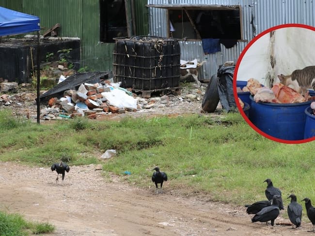 Leonardo Granados, secretario de Ambiente de Barrancabermeja