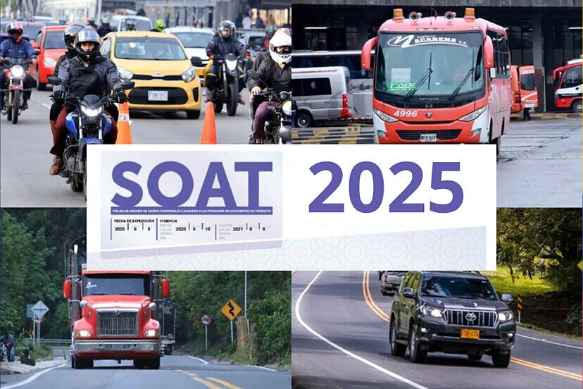 SOAT 2025