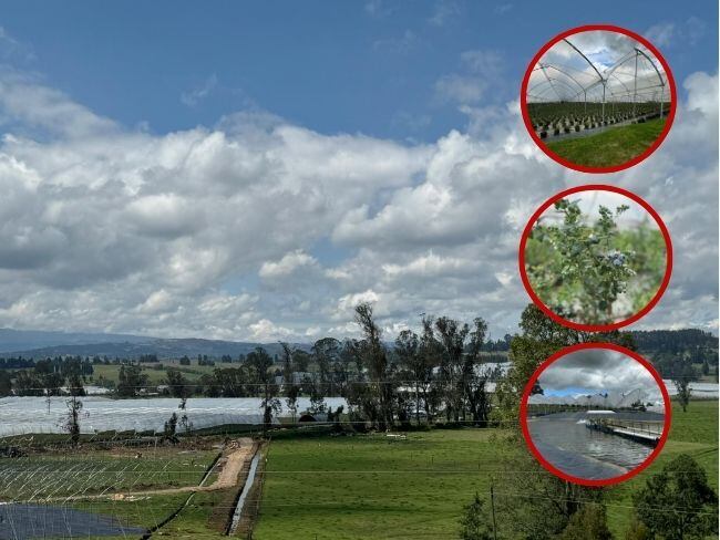 Según el concepto técnico de Corpoboyacá, la empresa está cometiendo infracciones ambientales. Imagen | Caracol Radio