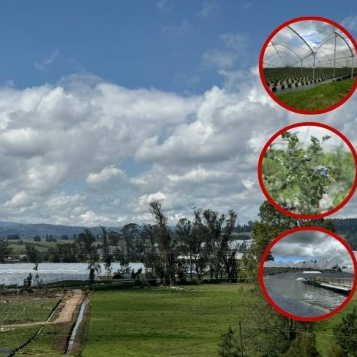 Ocho meses después, Corpoboyacá no resuelve seis infracciones ambientales de Elite Blu en Sotaquirá